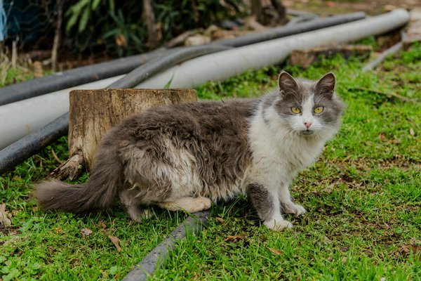Mutuelle santé : comment choisir la meilleure formule pour vous